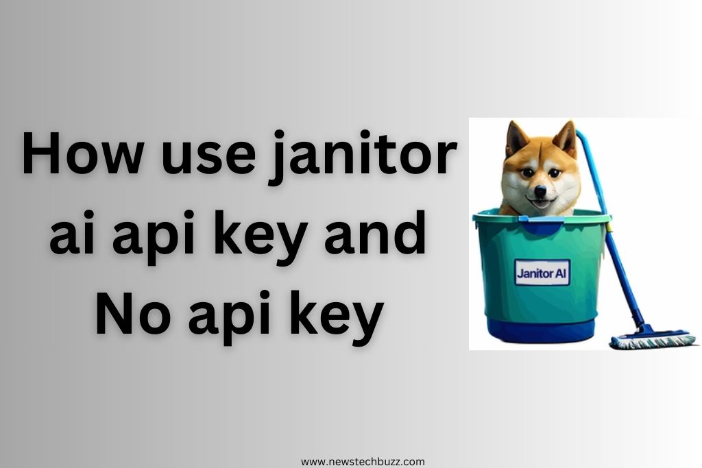 How use janitor ai api key and No api key